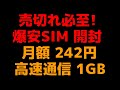 売切れ必至！ 最強低価格SIM 【開封】月額242円 高速1GB SMS受信OK カレンダーSIM