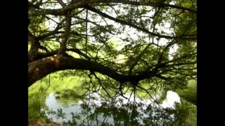 Download Lagu Jelas Berubah - Aim Prod. MP3