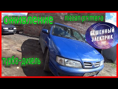 ОЖИВЛЕНИЕ МЕРТВЕЦА NISSAN PRIMERA ДИЗЕЛЬ. ЧАСТЬ 1