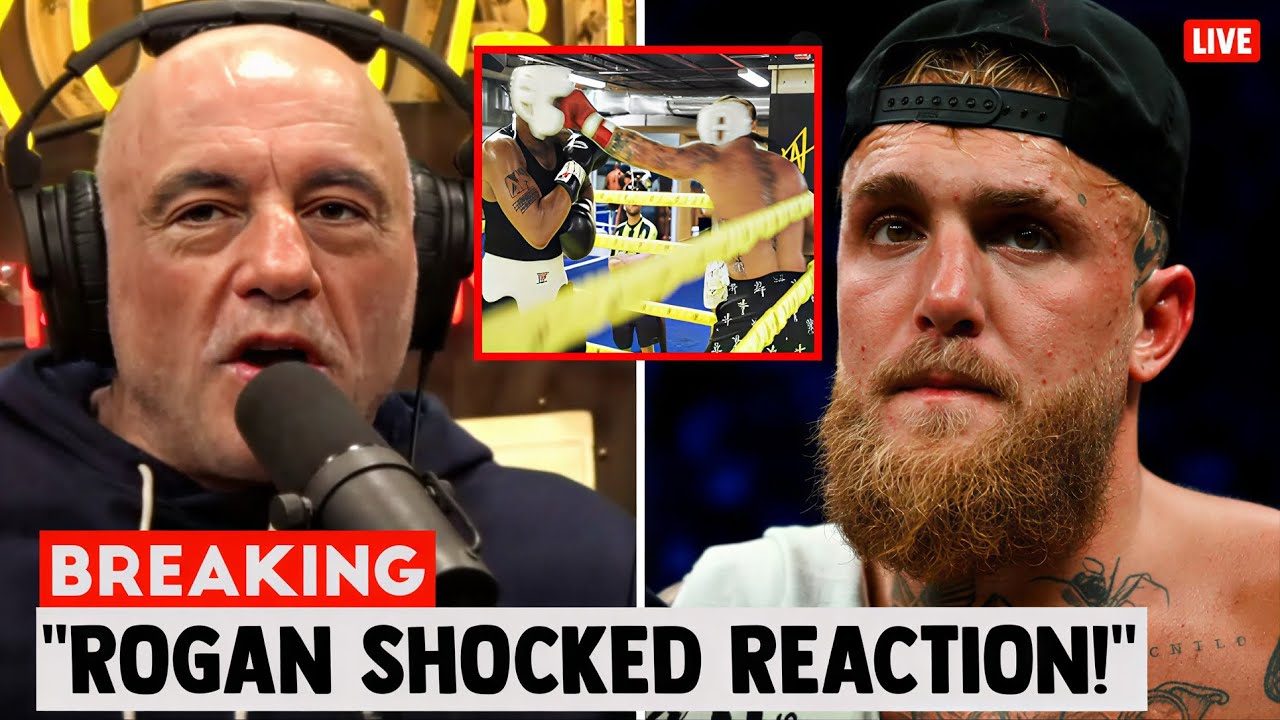 Joe Rogan SHOCKED as Jake Paul KNOCKS OUT Heavyweight in Sparring ...
