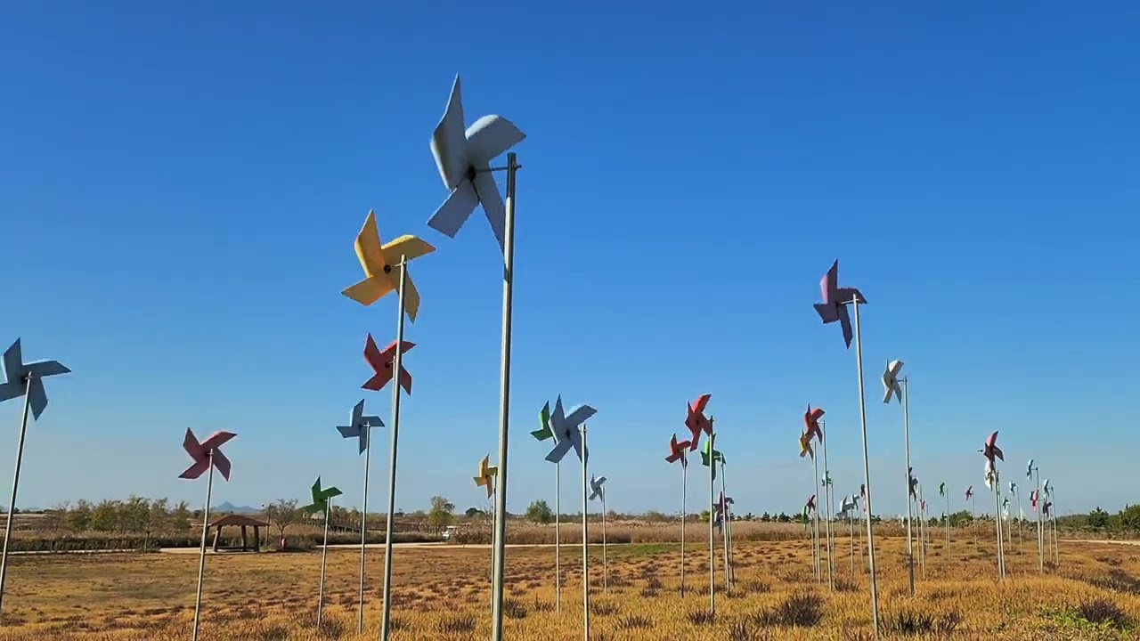 부안 새만금 환경 생태단지에 다녀왔습니다 