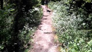 Miss Dabbers quick peek at your adventure today