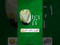 ازاى تصلح الكورة المخرومة الجزء الاول Shorts Football Footballshorts كرة القدم فارس ابوديب ازاى تصلح الكورة المخرومة الجزء الاول Shorts Football Footballshorts كرة القدم فارس ابوديب