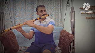 Saagar Kinare Dil Ye Pukare  Flute Cover