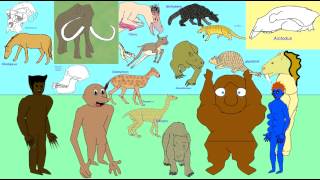 X MAMMALS: PLIOCENE
