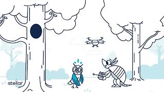 Stellar Bank Brand Campaign - Drone 30