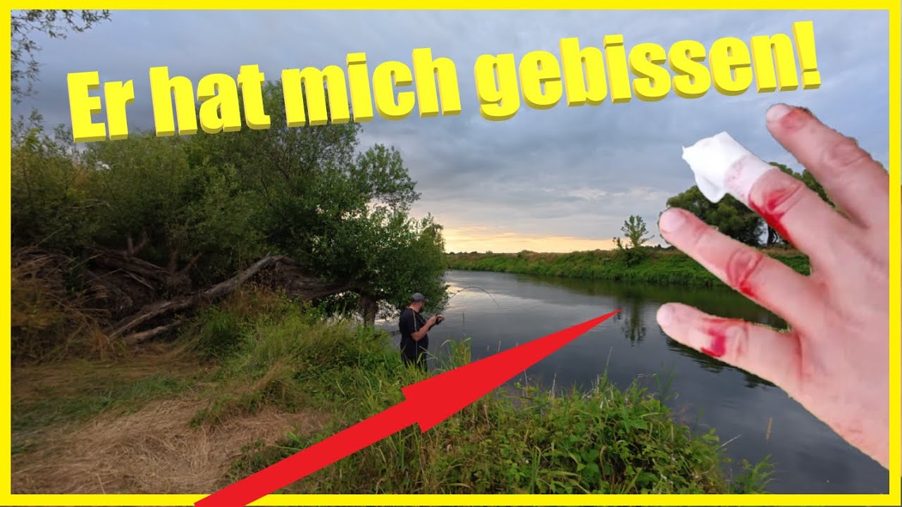 Raubfisch-Angeln am Fluss mit Spinnrute auf Raubfisch – bis der Fisch mich erwischt!