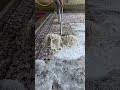 Foam scraping #78#satisfying #asmr #carpetcleaning.