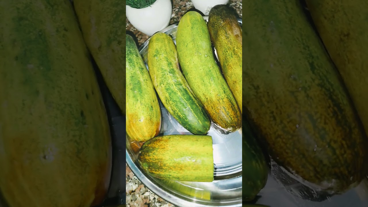 benefit of cucumber 🥒🥒👍🏻 