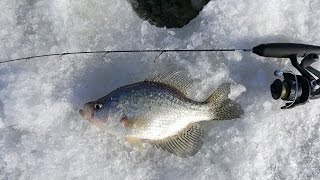 NFN Icehole Adventure #4 New Years Day Crappie Action 2017 - Ice Fishing Icefishing