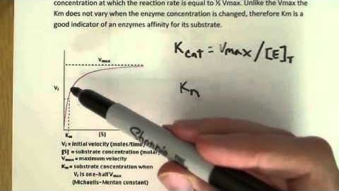 Enzyme kinetics introduction   YouTube