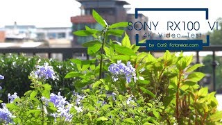 Sony RX100 VI 4K Video Test