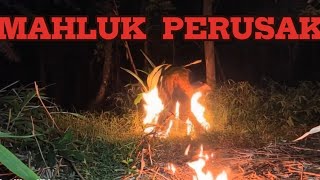 Download Lagu TERNYATA INI PENYEBAB GAGAL PANEN MP3