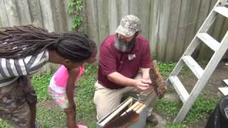 Honey Bee Removal Highlights #1