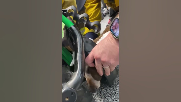 Dog Rescued After Getting Head Stuck in Golf Cart