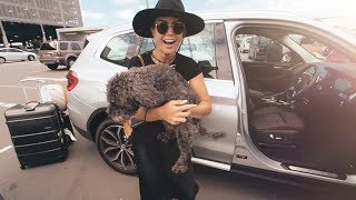 PUPPY GOES CRAZY SEEING HER MUMMY AGAIN!