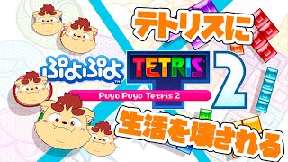 【ぷよぷよテトリス2】テトリスの練習する！！【犬山コウタ】