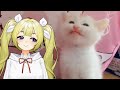 VTuber Reacts to 20 Minutes of The FUNNIEST Kittens