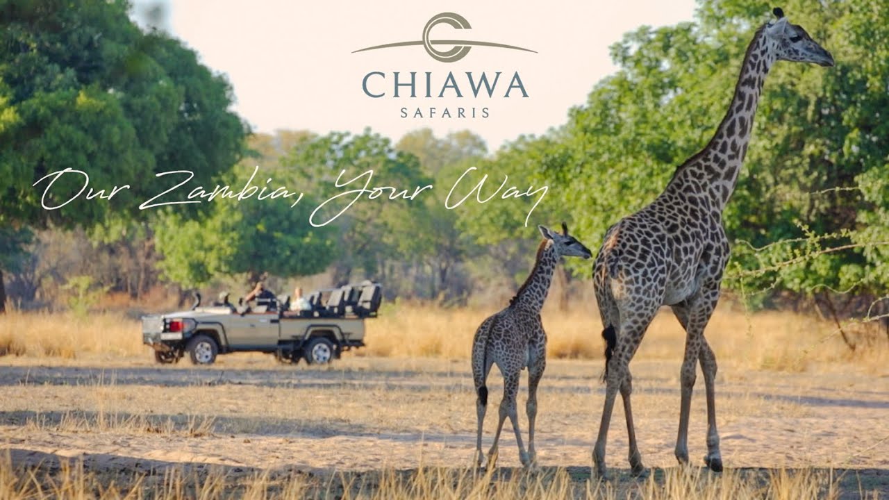 Chiawa Safaris - 2025 Video Featuring Chiawa Camp, Old Mondoro, Puku Ridge  & Chichele Presidential.