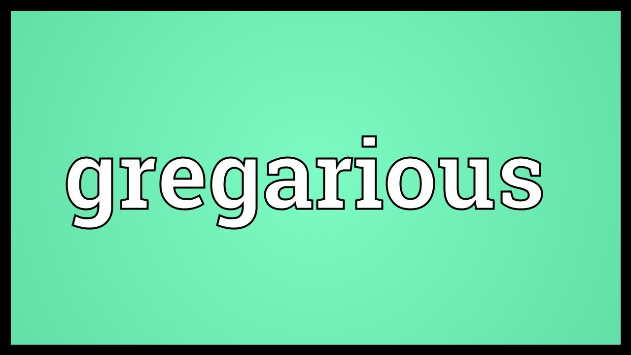Gregarious Meaning