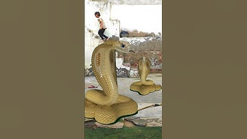 Funny snake nagin vfx video snake video #shorts #youtube