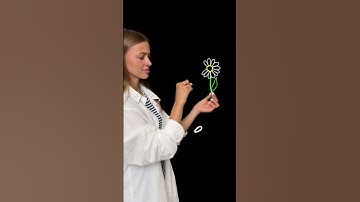 Creating Amazing 3D Videos with Zero Editing Skills Using VJump!