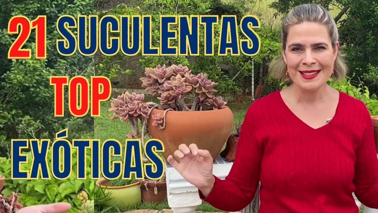 Top 21 SUCULENTAS Exóticas com IDENTIFICAÇÃO / Grazi Bittencourt