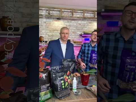 #Суровый_Ботаник в телеке! Приятно когда эксперт с телеканала заявляет так! ЭффектБио.РФ