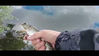 Рыбалка в черте Усть-Каменогорска июнь 2022