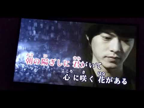 安全地帯「朝の陽ざしに君がいて」