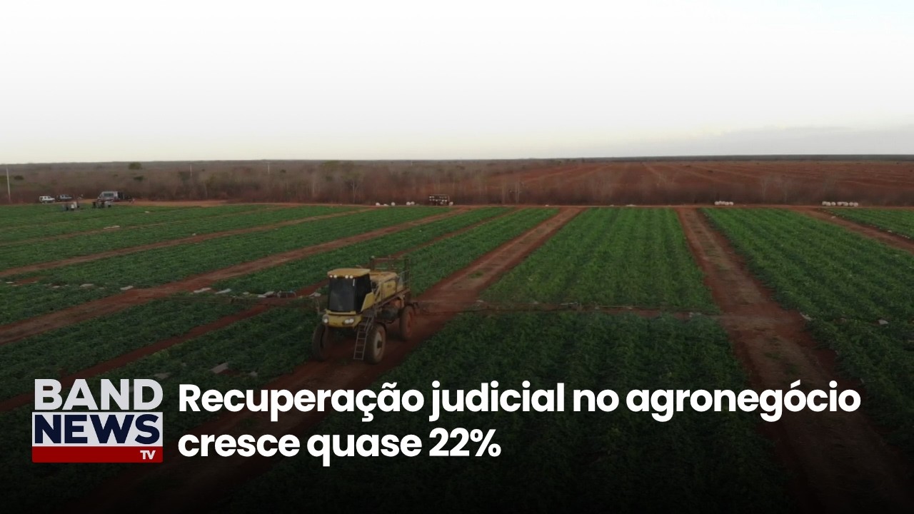 Recuperação judicial no agronegócio cresce quase 22% | BandNews