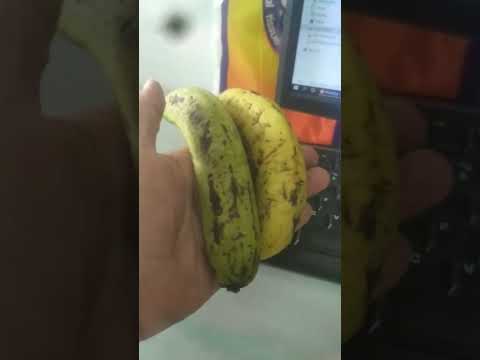 ini lho manfaat pisang yang sering kita lupakan,jangan lupa makan pisang