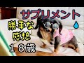 ダメっぷり＃71 　１８歳６カ月続けているサプリのお値段と個人の見解