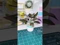 Artificial plant ideas #shorts #diy #papercraft #plants