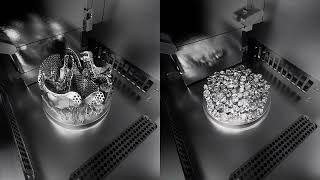 FastForm DeskFab X1 Metal 3D Printer #3dprinting #fastform3d #metalprinting #additivemanufacturing Net Worth