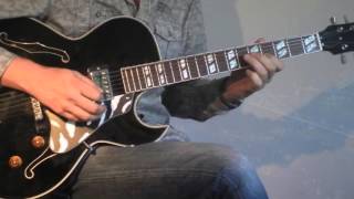 Ronny Jordan - After Hours - cover on Henri Oiseau ES176  guitar