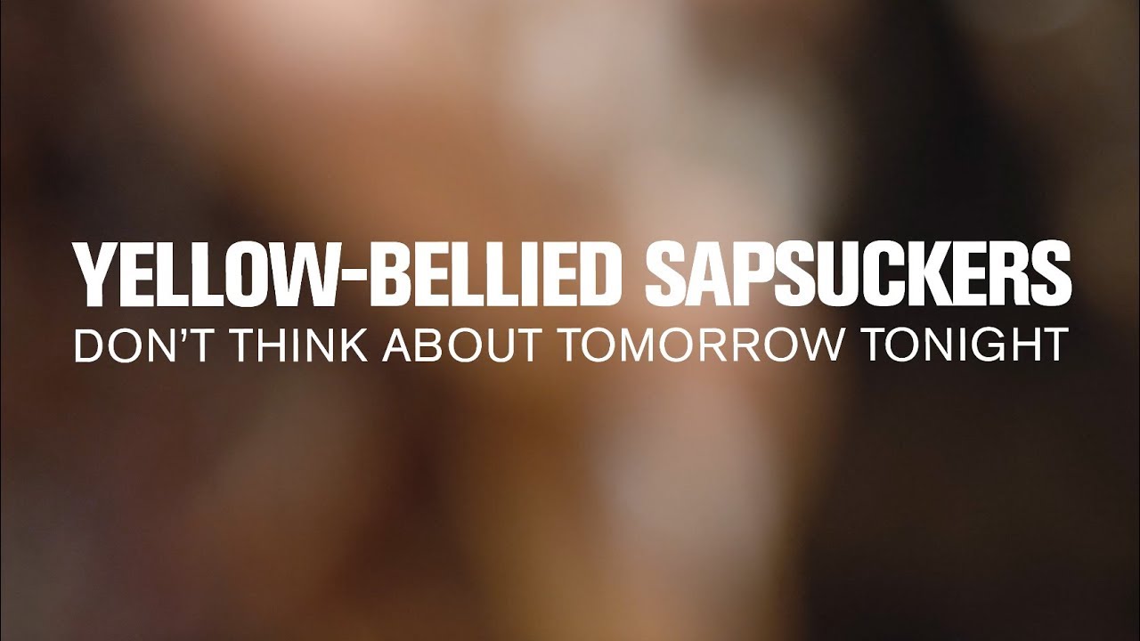 Yellow-Bellied Sapsuckers - Don't Think About Tomorrow Tonight (Live at Radio Heartland)