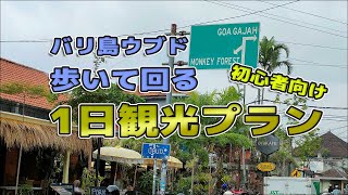 【バリ島初心者必見】歩いて回るウブド1日観光プラン・トリイのおすすめ