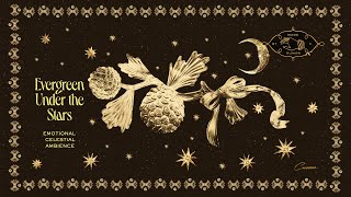 Evergreen Under the Stars | Whimsical and Emotional Celestial Ambience and Music