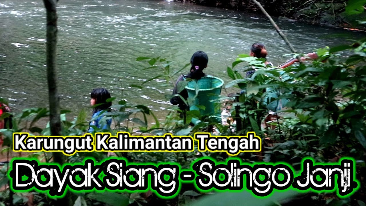 Karungut Dayak siang Solingo Janji (Karungut Kalimantan Tengah)
