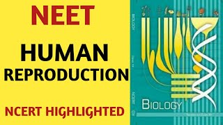 Human Reproduction /Class 12/NCERT/Chapter 03/Quick Revision Series/NEET/AIIMS/JIPMER/BIOLOGY screenshot 2