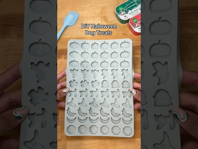 Spooky Delicious Halloween Dog Treats! 3 sddefault