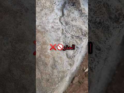 إشارة الافعى الحذر