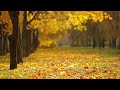 Beautiful Relaxing Piano Music