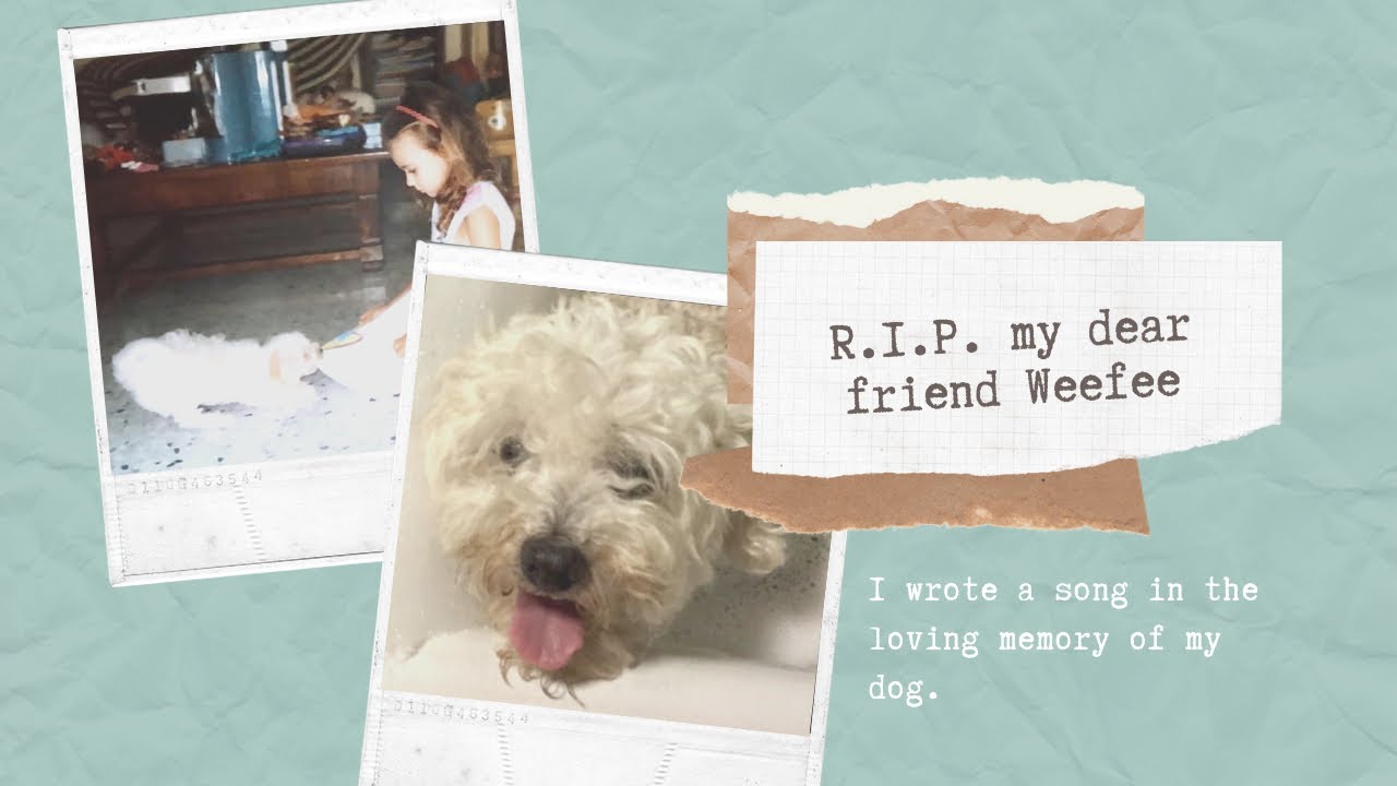 For Weefee ORIGINAL SONG I wrote a song for my dog my dog died