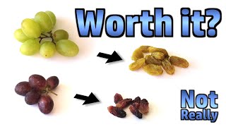 Ældre borgere Motherland Passende Making Raisins in a Dehydrator - is it Worth it? - YouTube