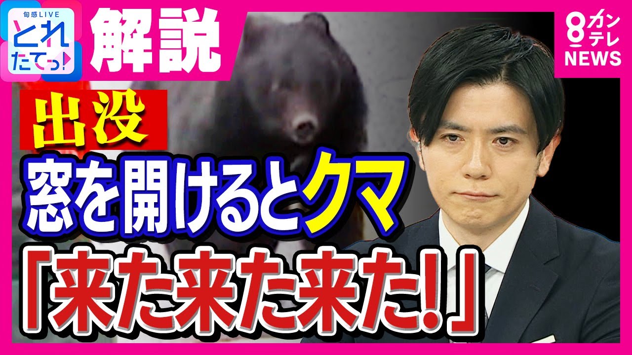 If you encounter a bear, turning your back and running away is a