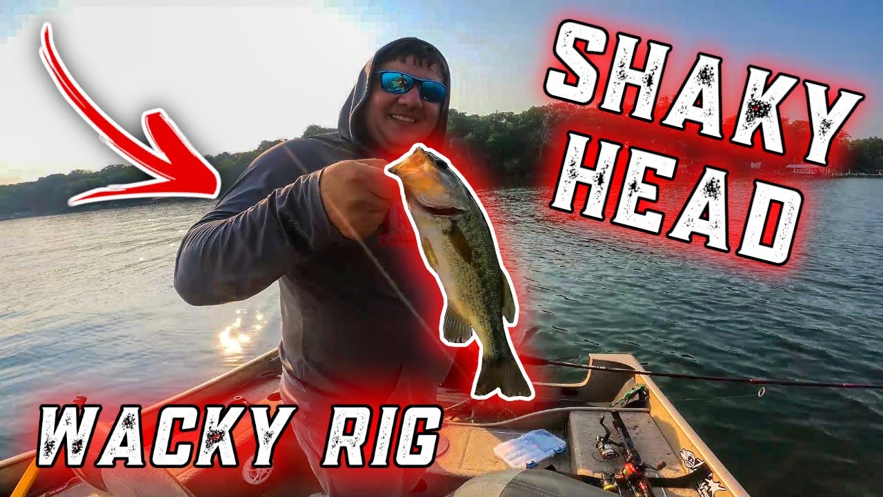 Bass fishing in the SUMMER – Shaky head and the Wacky Rig CATCH BASS!