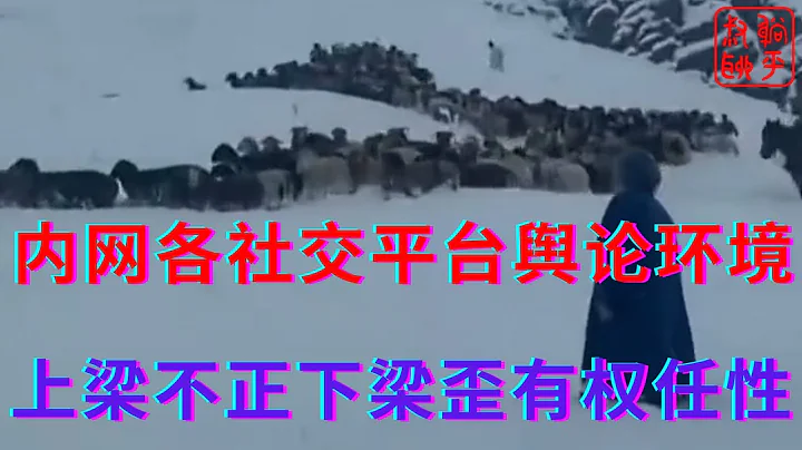 内网各社交平台舆论环境||上梁不正下梁歪有权就任性||躺平叔聊舆论环境 - 天天要闻