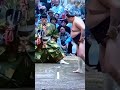 #【大相撲夏場所十三日目】#